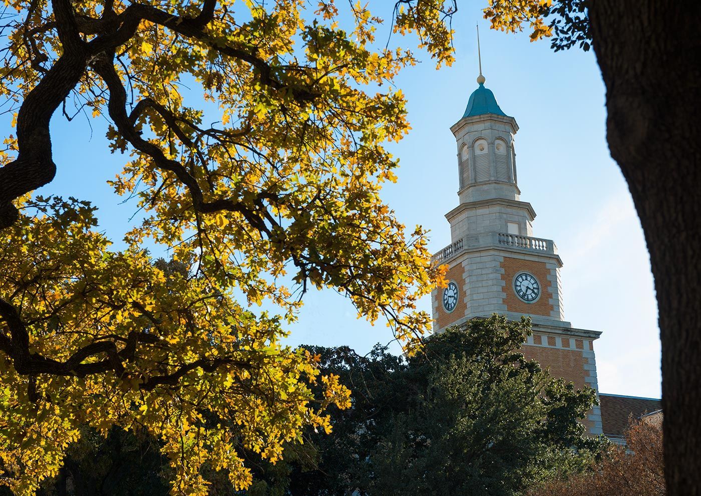University of North Texas