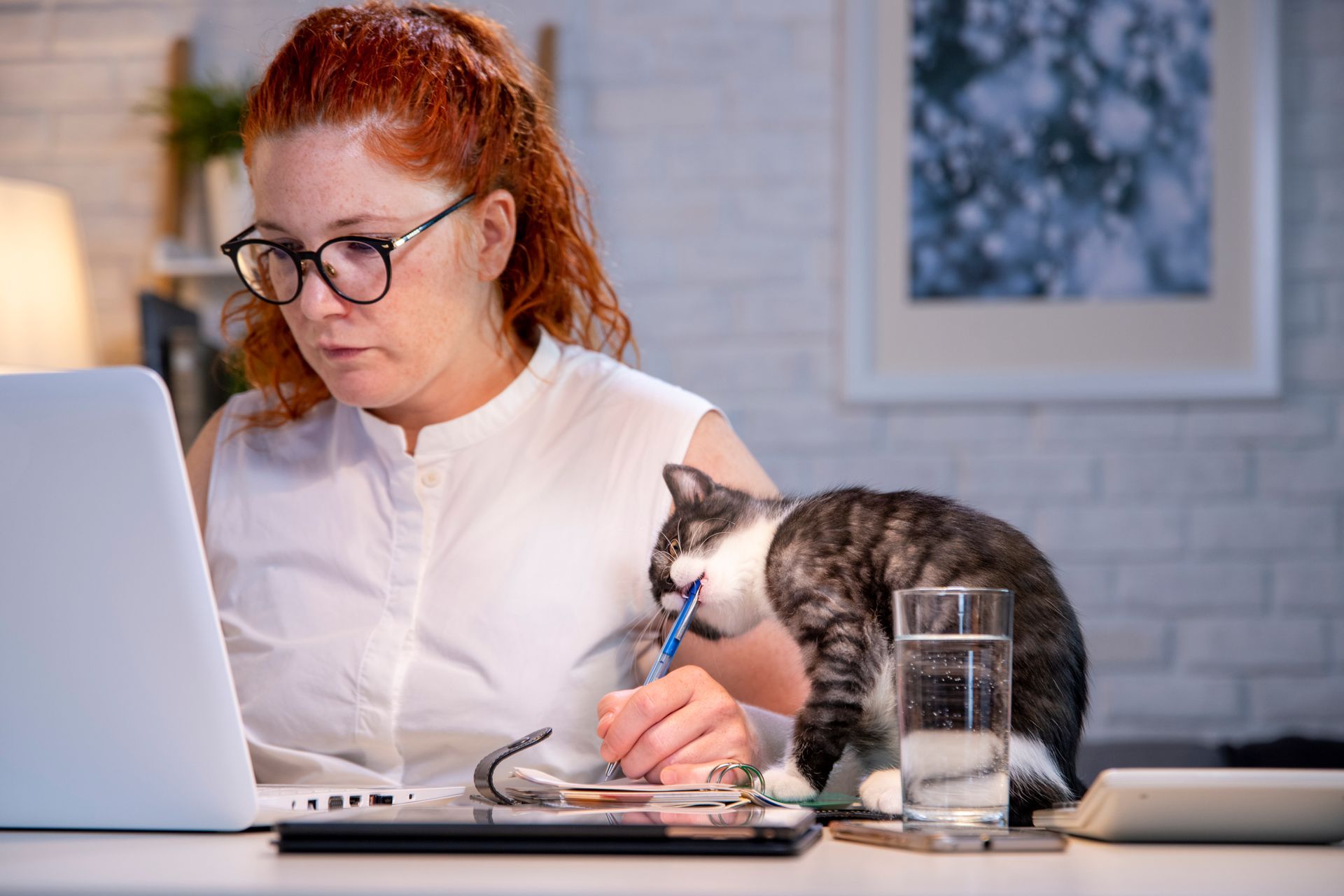A college counselor at her home-office desk, calm and focused