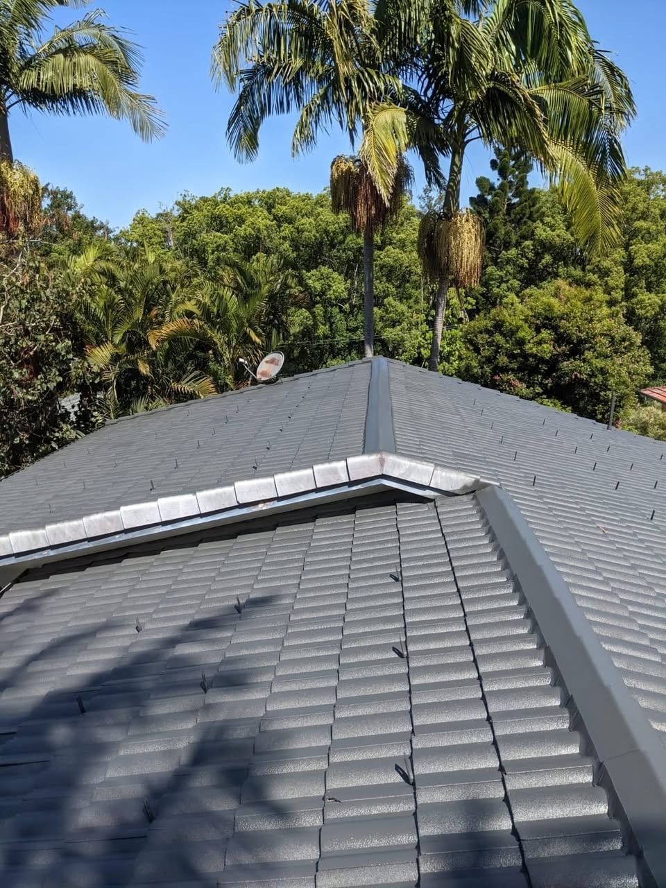 Gray shingled roof with a vent pipe, set against tall palm trees and blue sky