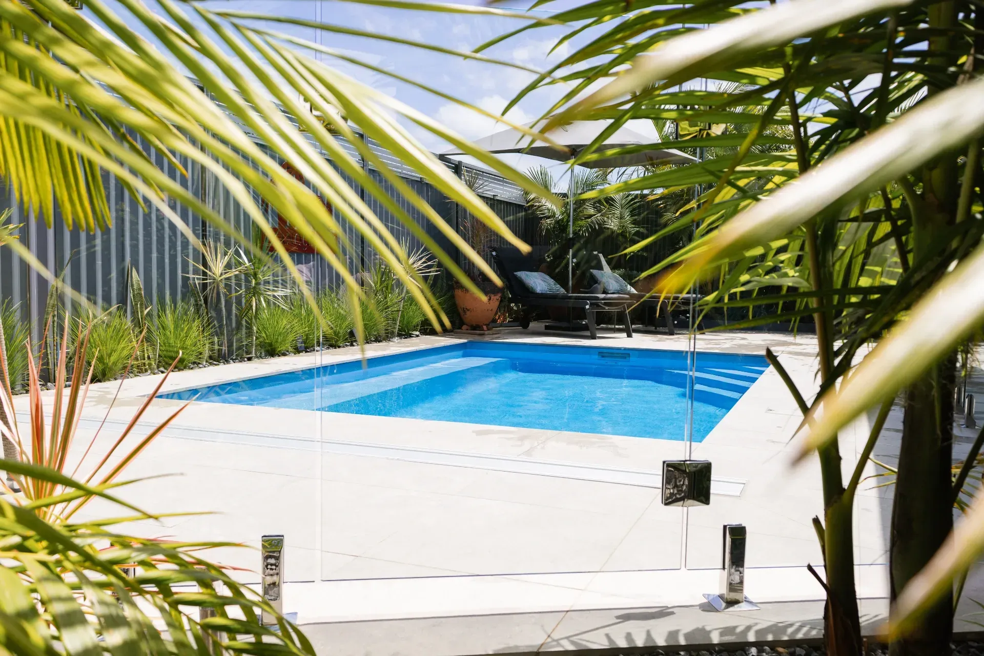 Palm-Framed Backyard Swimming Pool with Blue Water and White Deck — New Vision Pools in Port Macquarie, NSW