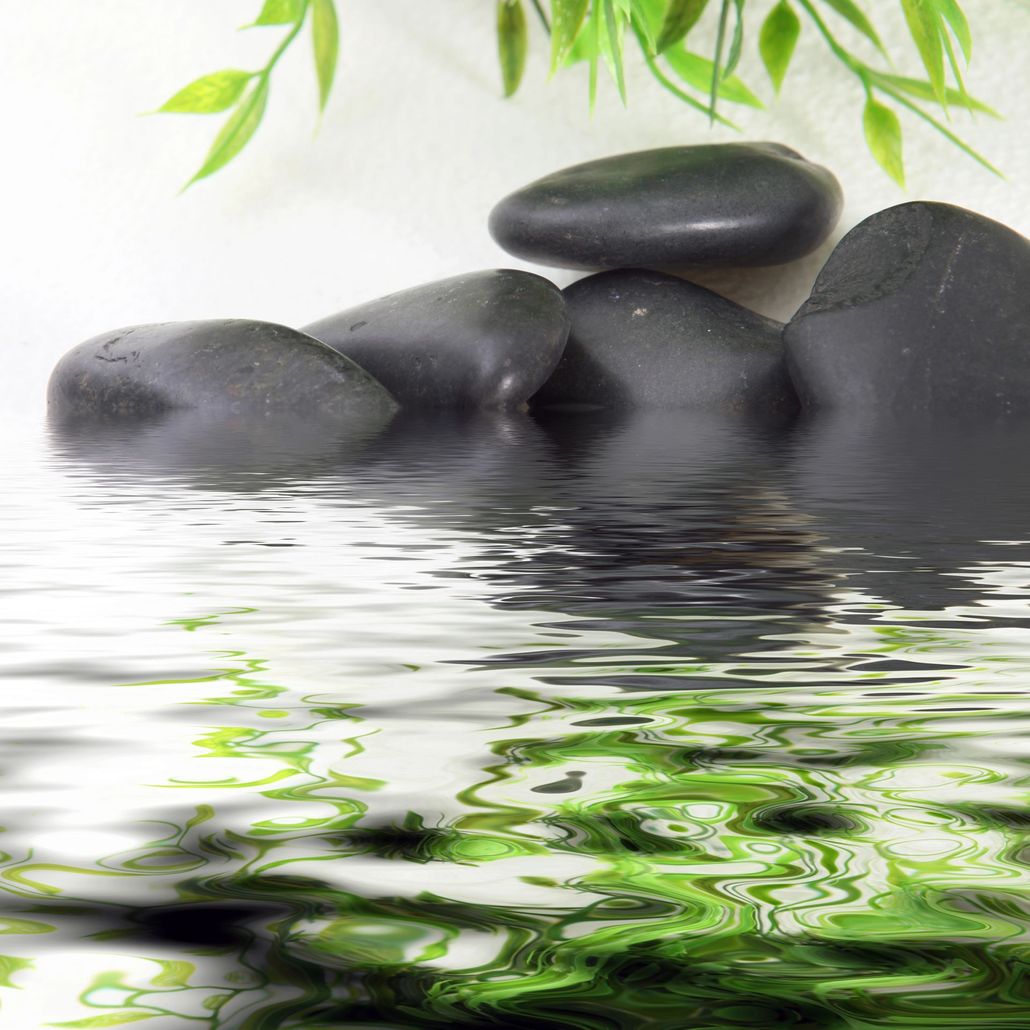 About Vibrational Bliss Wellness About Vibrational Bliss Wellness