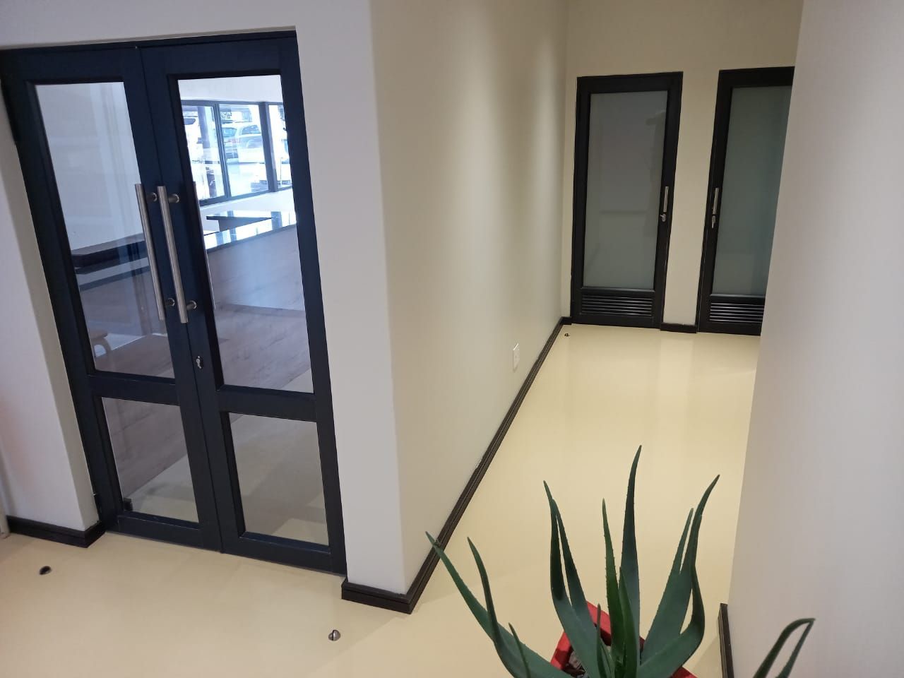 A hallway with a plant in the middle of it