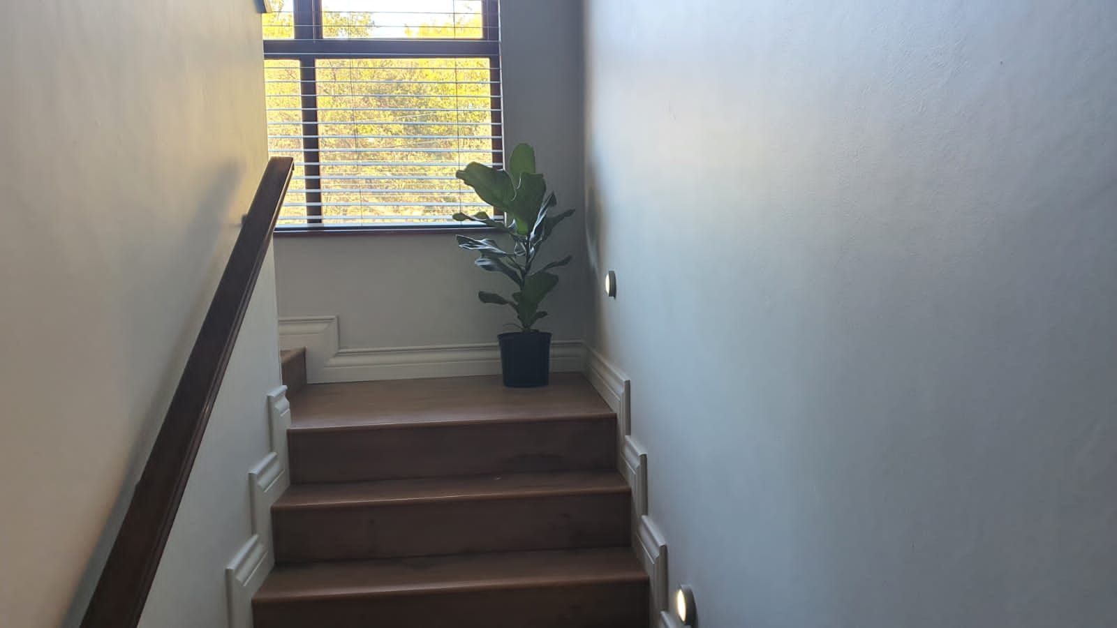A wooden staircase with a potted plant on the floor and a window.