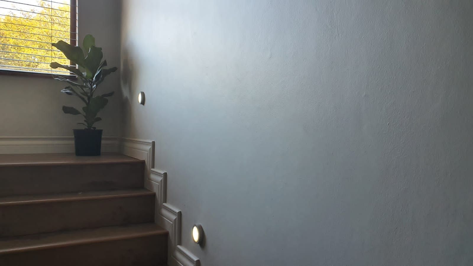 A potted plant is sitting on the stairs next to a window.