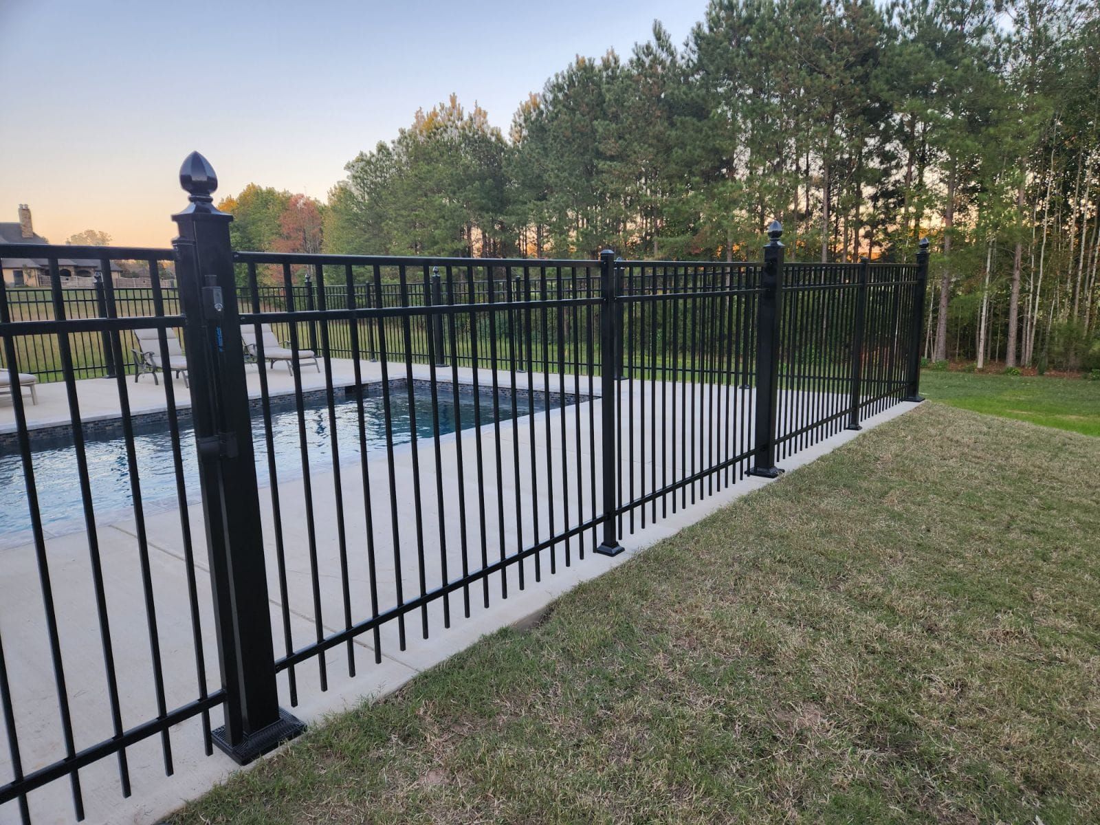 A black fence surrounds a swimming pool in a backyard.