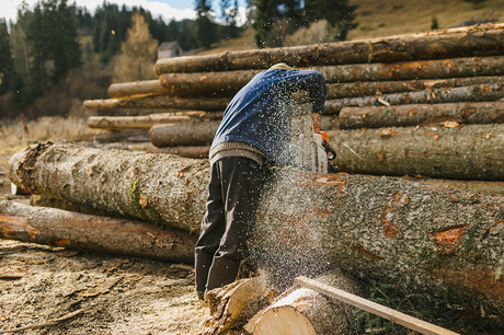 Logging