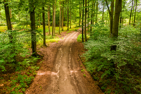 Access Roads