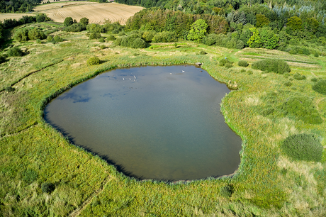 Pond Creation