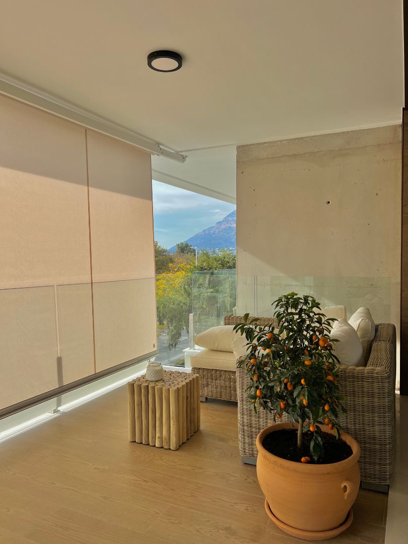A courtyard with a small tree in front of a glass wall. The ground is covered with rocks, and the sun shines on the tree.