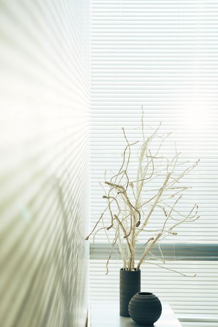 Wooden blinds, partially open, letting sunlight through to a window, revealing an outside scene.