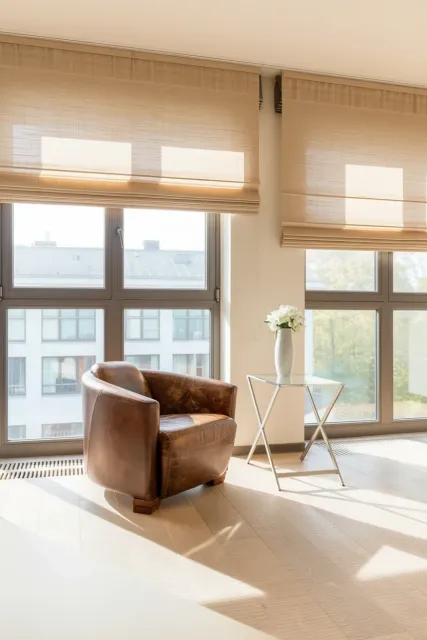 Plant on windowsill with blinds, sunlight streams through.