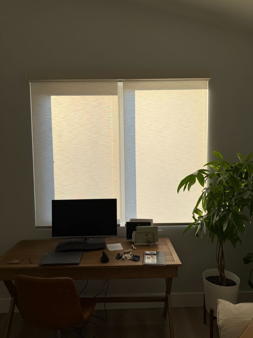Desk with computer in a dim home office, backlit by a bright window and beside a potted plant.