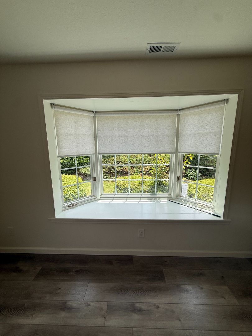 A courtyard with a small tree in front of a glass wall. The ground is covered with rocks, and the sun shines on the tree.