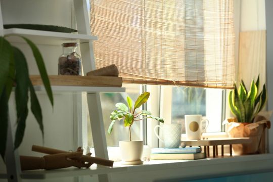 Sunlit windowsill with potted plants, a small vase, and bamboo blinds in a bright room