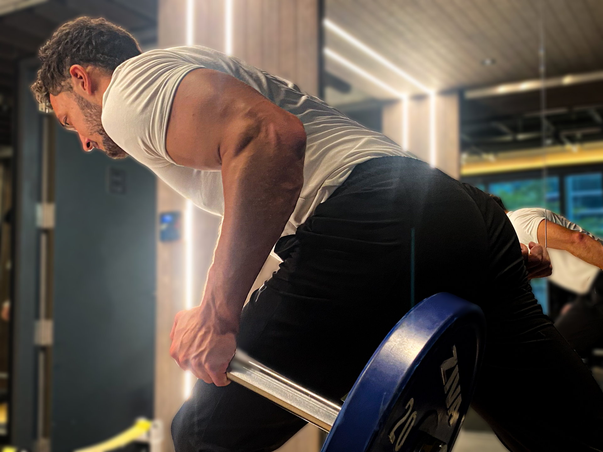 best online personal trainer