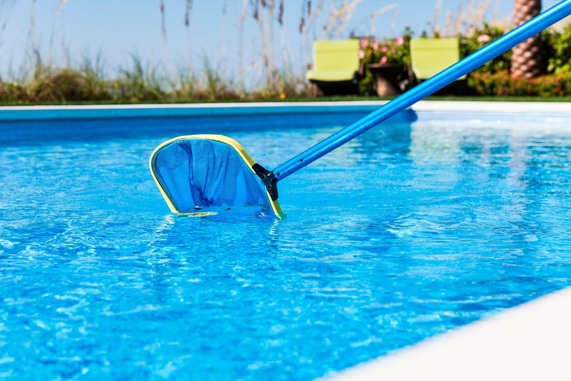 A person is cleaning a swimming pool with a net.