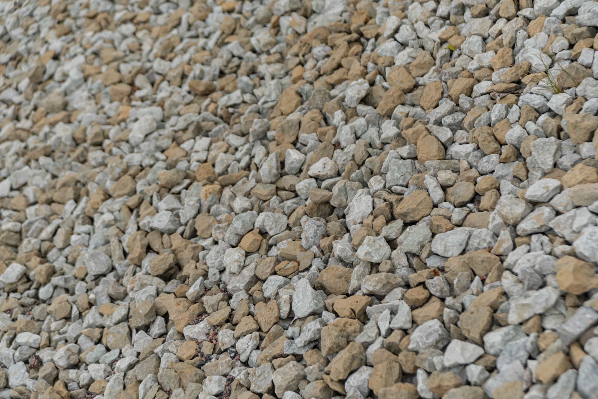 Pile of small tan and gray gravel stones filling the frame.