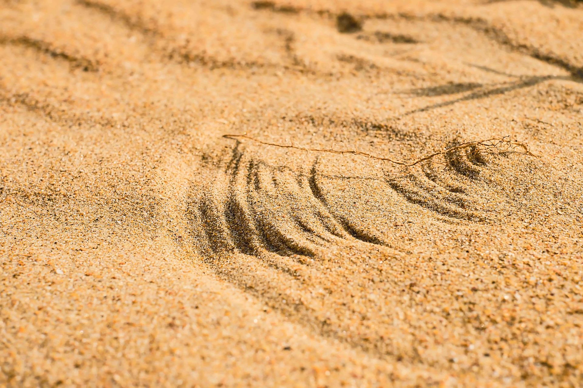 Close-up of rippled tan sand with small tire or track marks in a desert-like setting