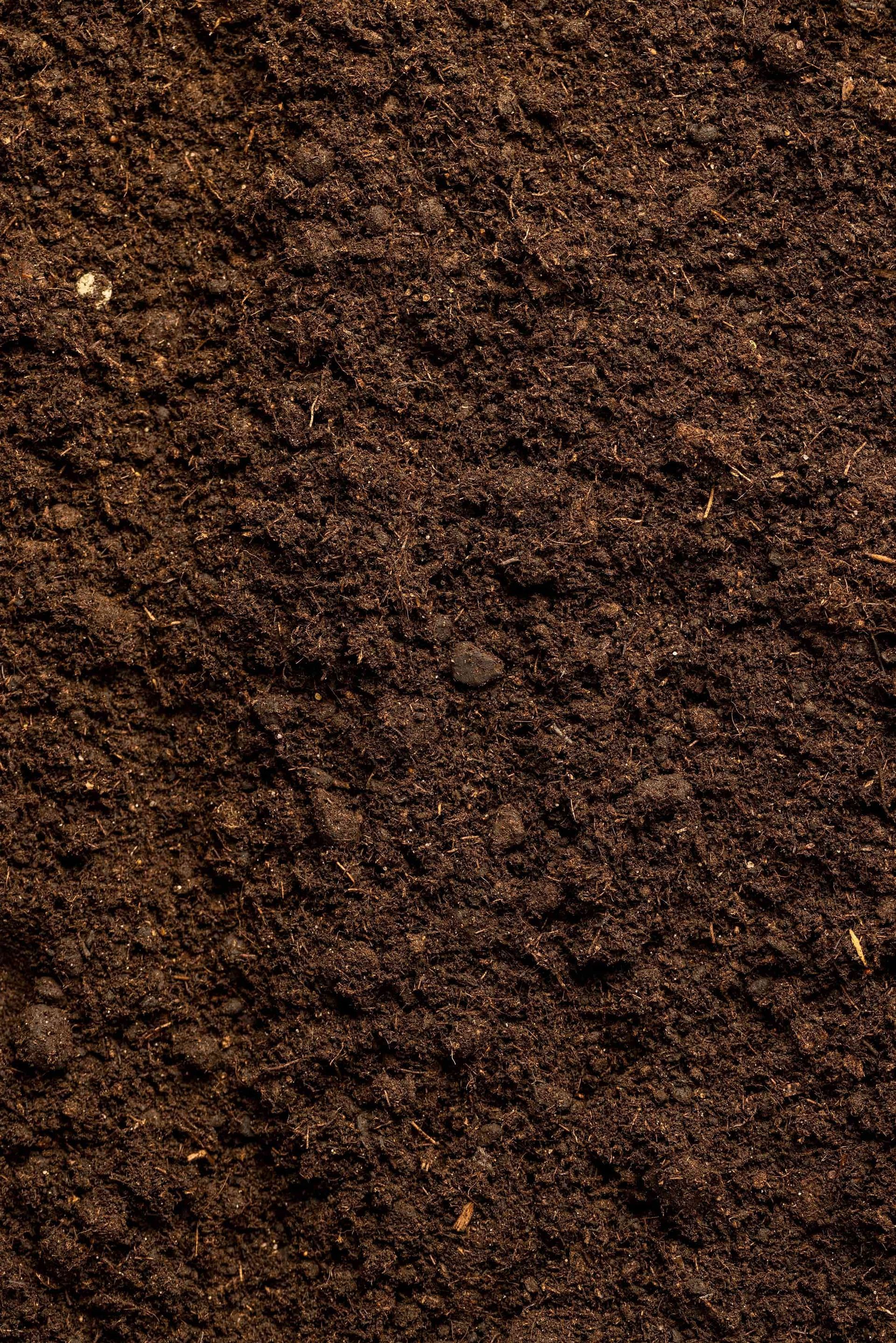 Close-up of dark brown soil with a rough, crumbly texture