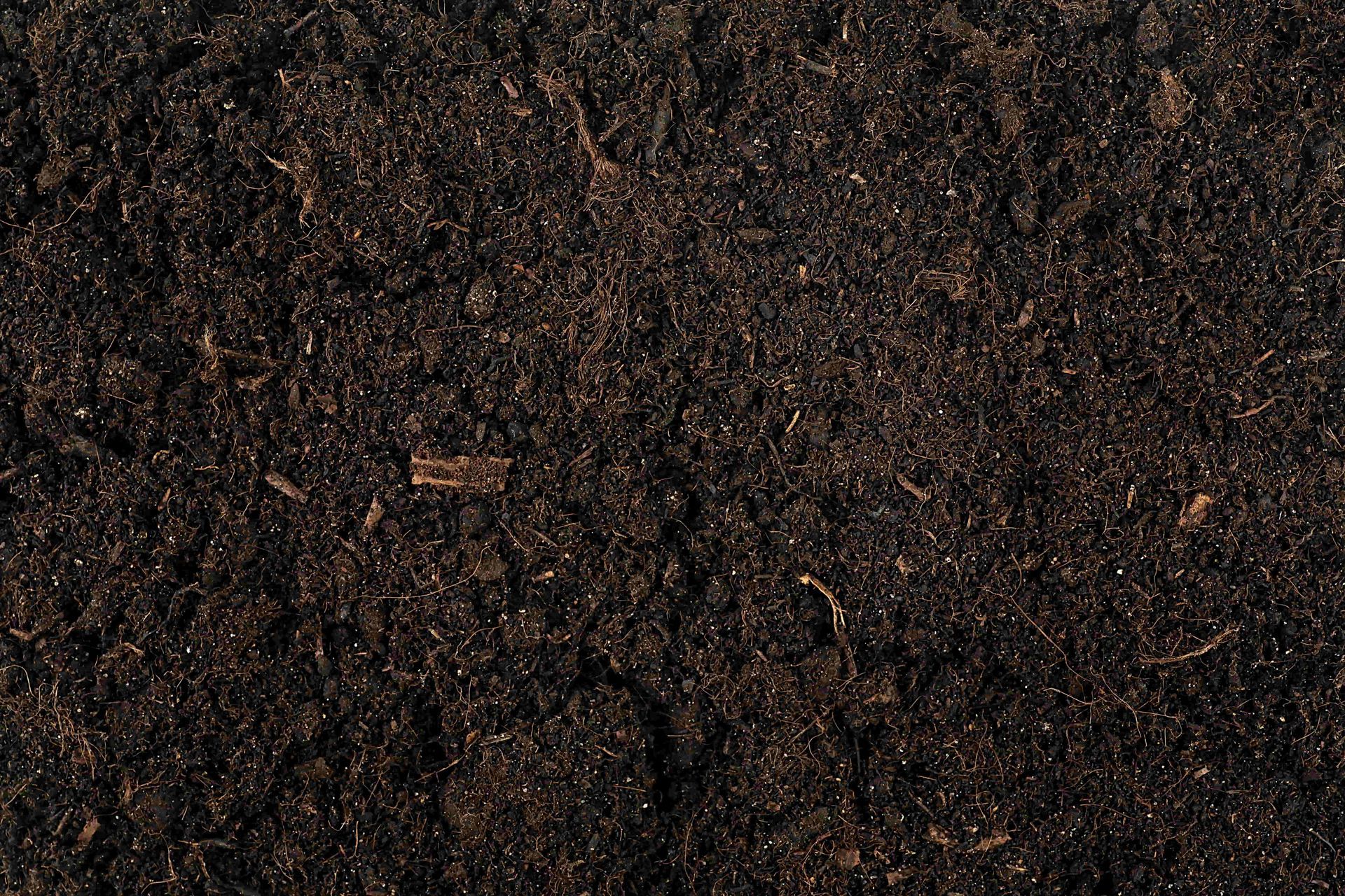 Close-up of dark brown soil or mulch with small wood chips and pebbles