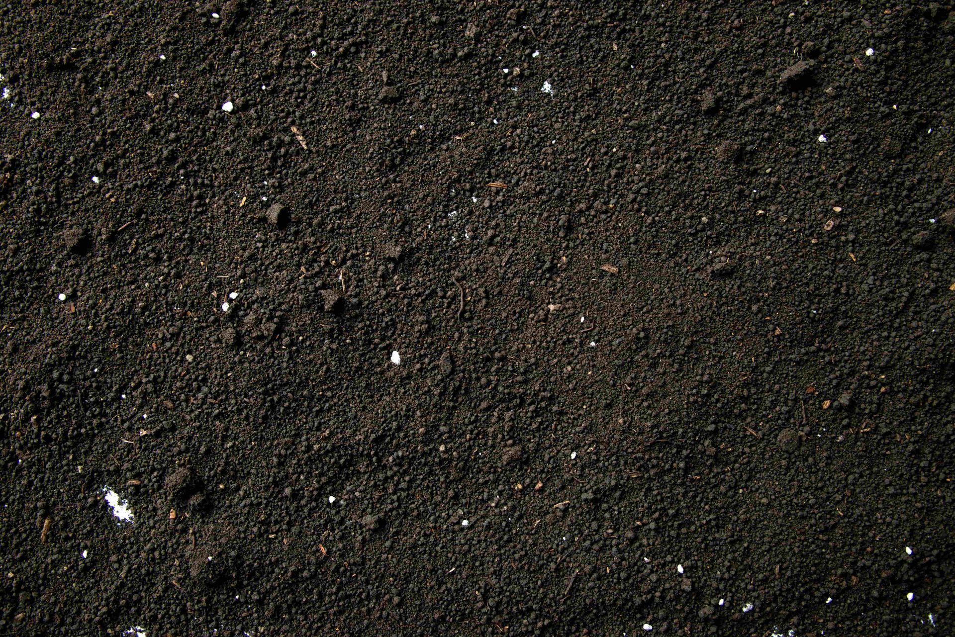 Dark, coarse gravel or soil with small white pebbles scattered across it.