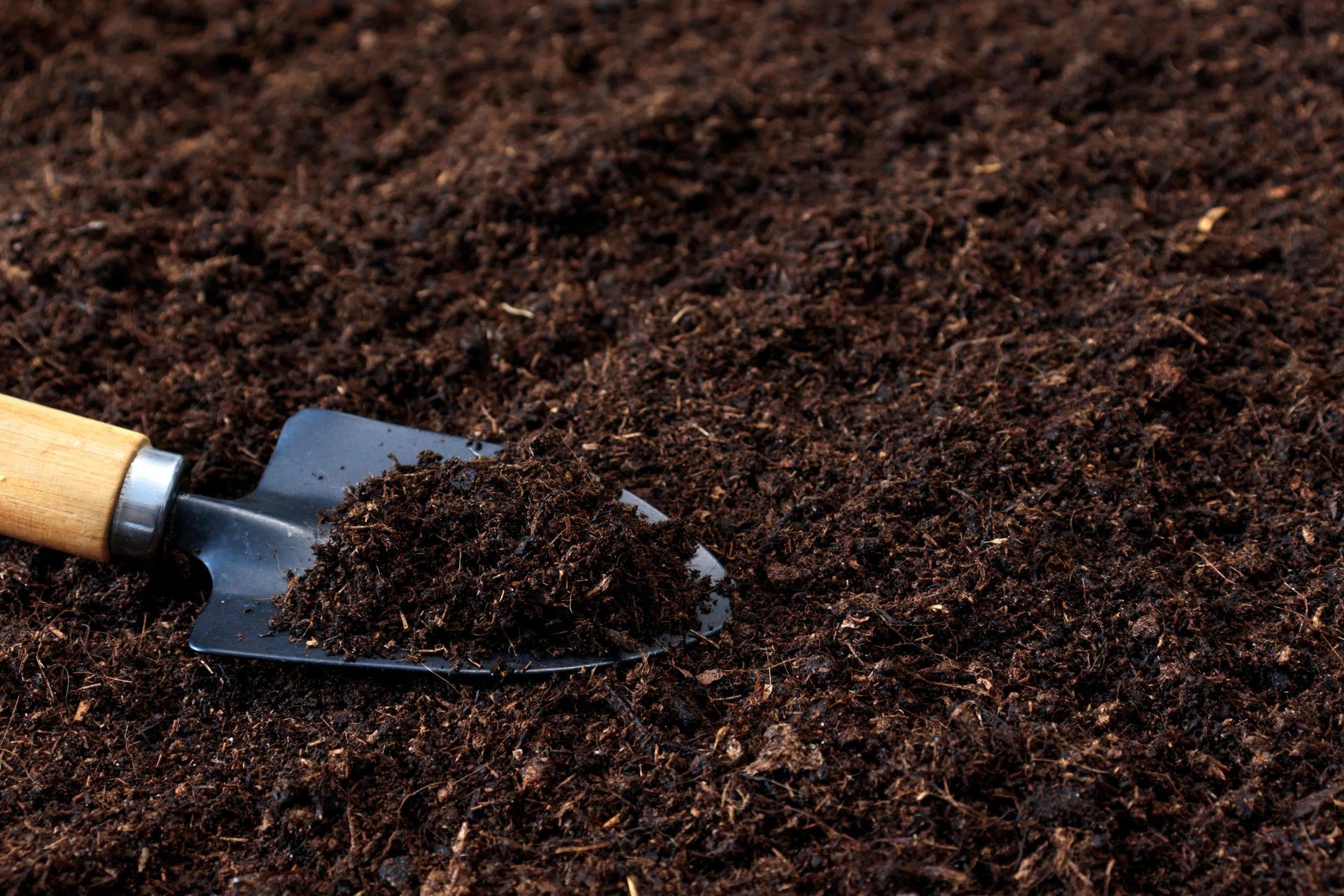 Small garden trowel in dark soil, suggesting planting or digging
