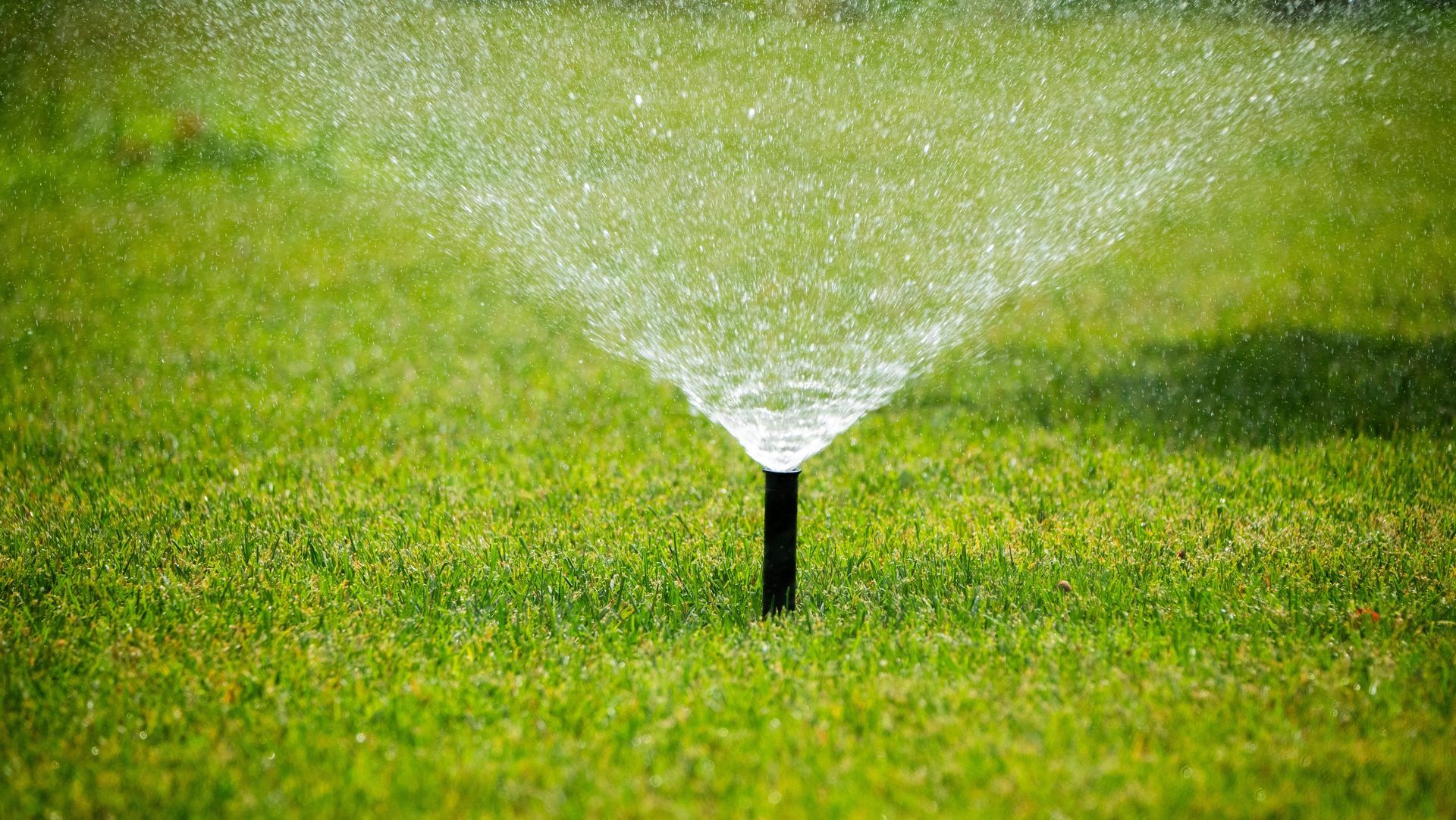 Irrigation System