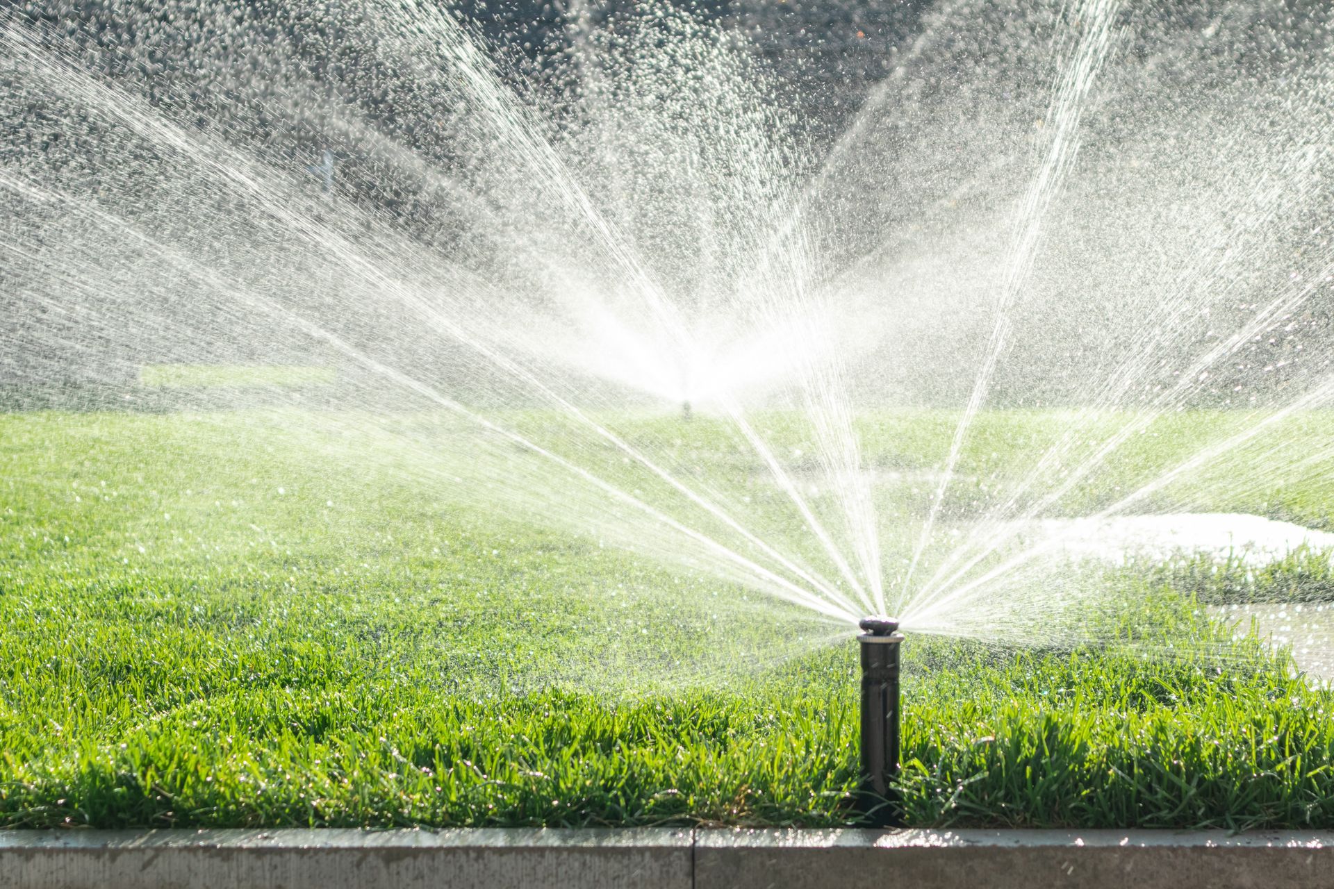 Irrigation System Installation and Maintenance
