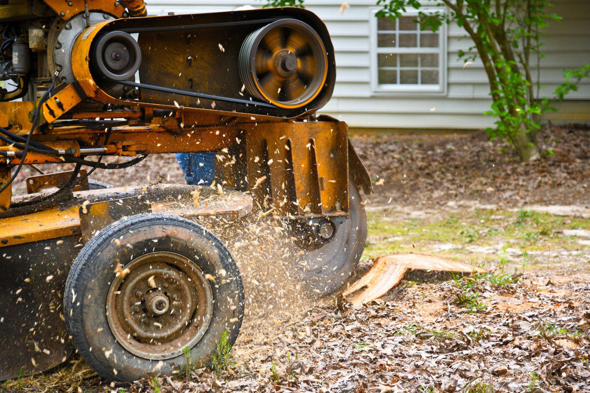 Stump Grinding In Progress — Enid, OK — Professional Tree Care Stump Grinding In Progress — Enid, OK — Professional Tree Care