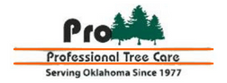 Professional Tree Care Professional Tree Care