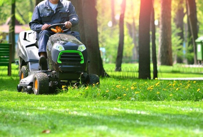 Person mowing a bright green lawn on a riding mower in a sunlit park or yard