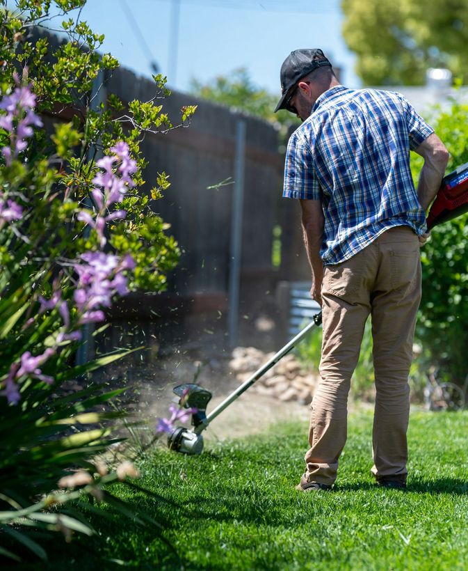 Person using a string trimmer on a green lawn beside purple flowers and a fence