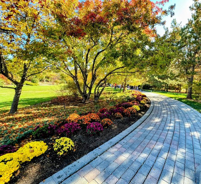 Curving brick path beside colorful flower beds and autumn trees in a sunny park