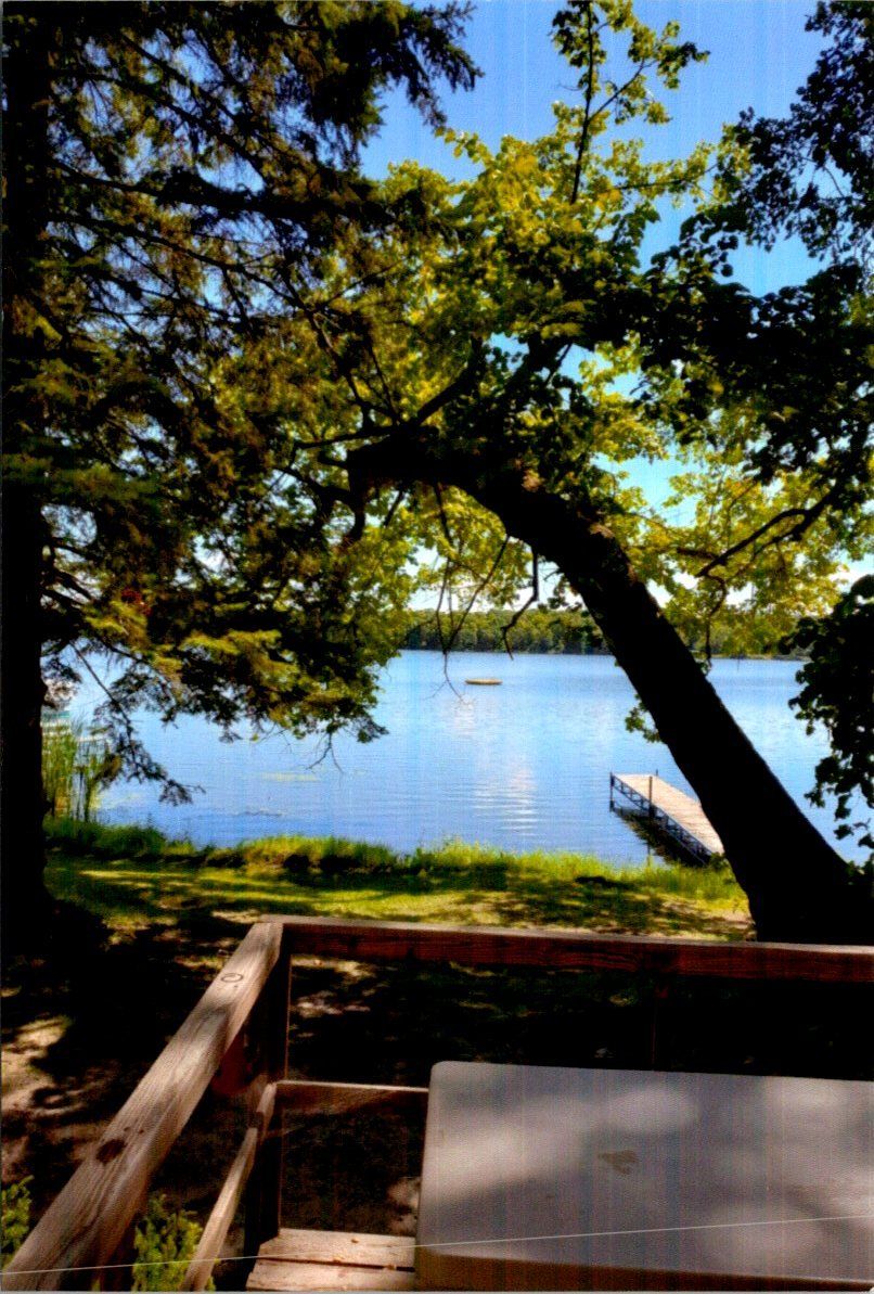 A view of a lake from a deck with a tree in the foreground