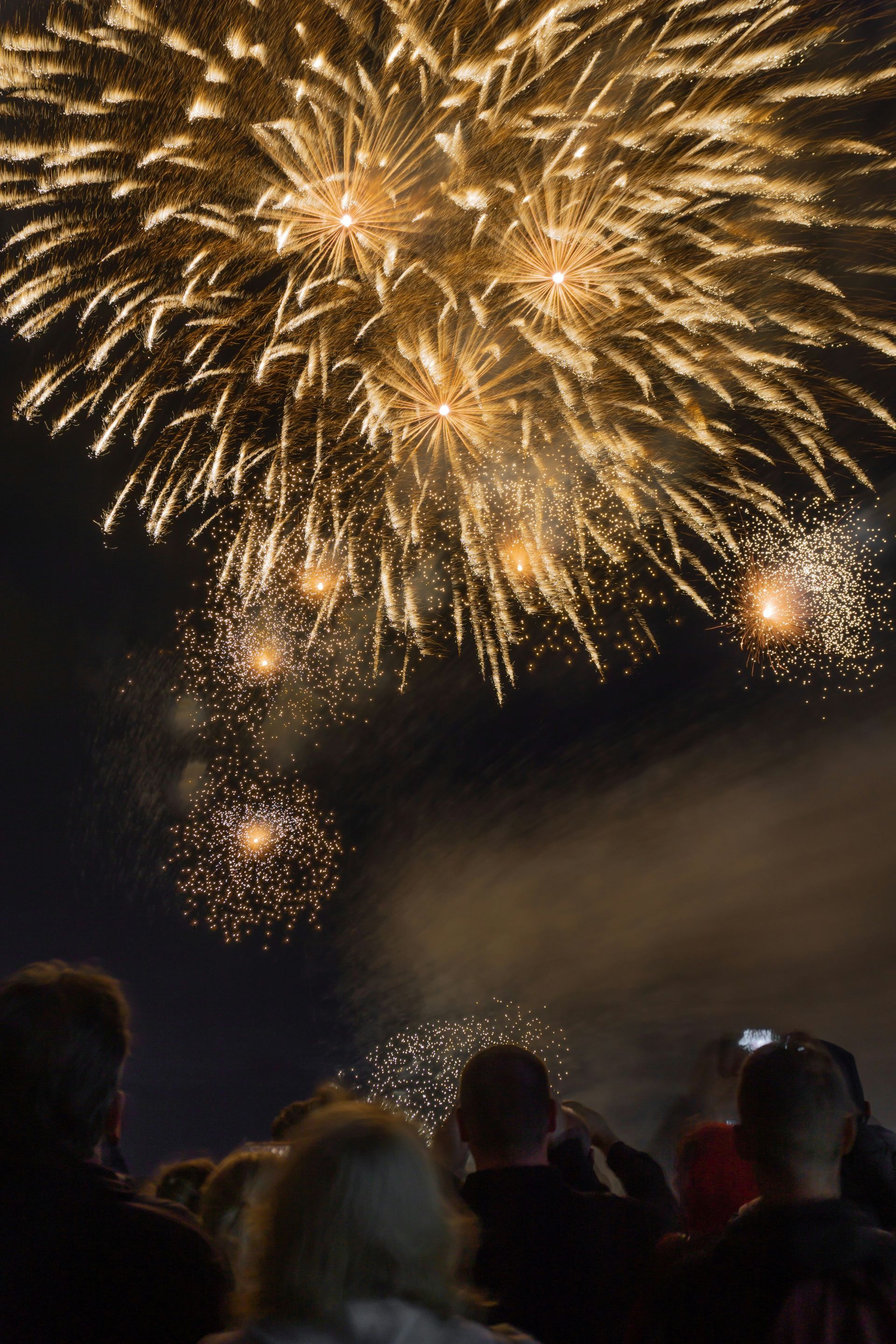 Fireworks erupting in a dark sky, viewed from a crowd of spectators, some with phones.