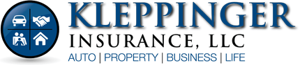 Kleppinger Agency LLC Kleppinger Agency LLC