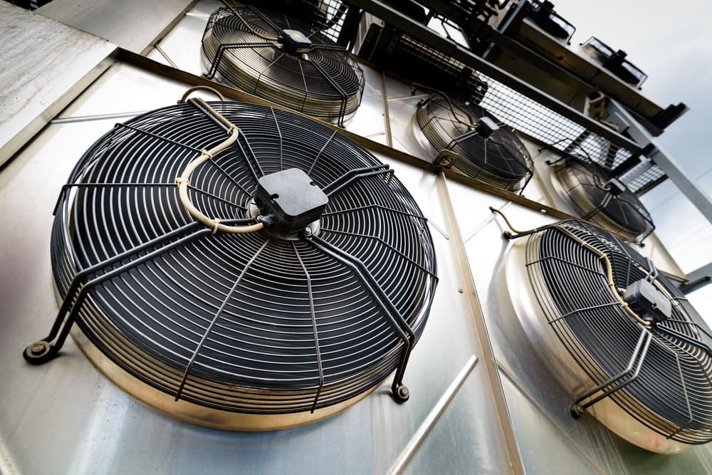 A Bunch Of Fans Are Hanging From The Side Of A Building — Allpower Electrical Wholesalers Pty Ltd In Mossman, QLD