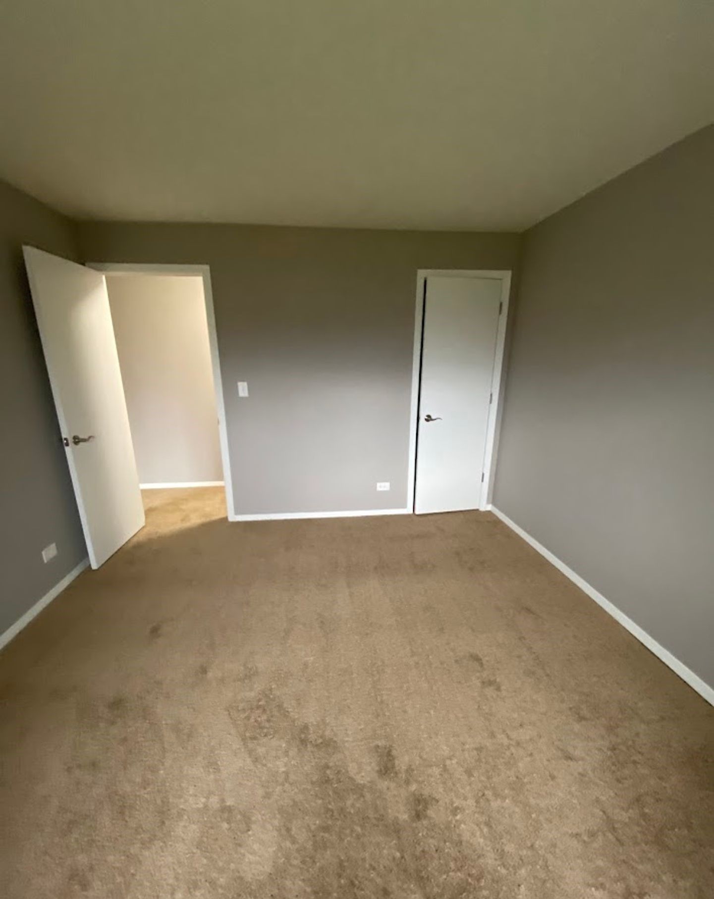 An empty bedroom with a brown carpet and gray walls.
