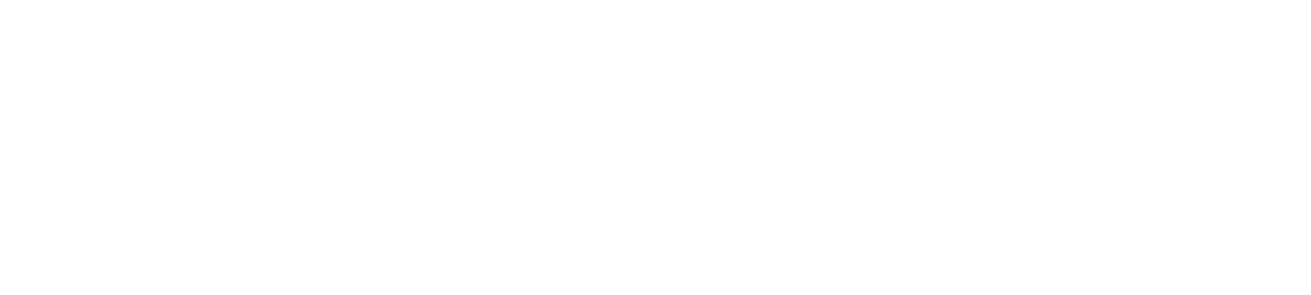 Company Logo - Footer