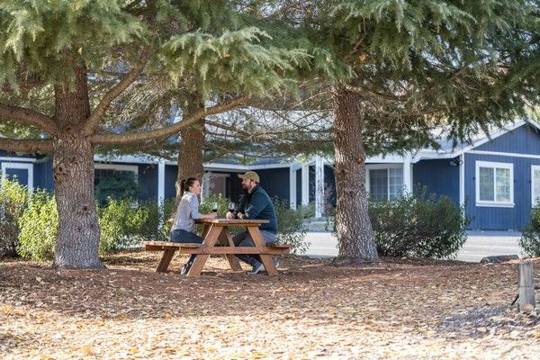 Two people sit at a wooden picnic table under large pine trees in front of a blue building, enjoying a drink.