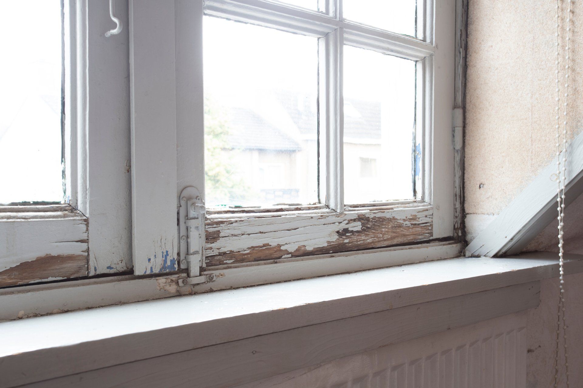 Dry Rot Repair