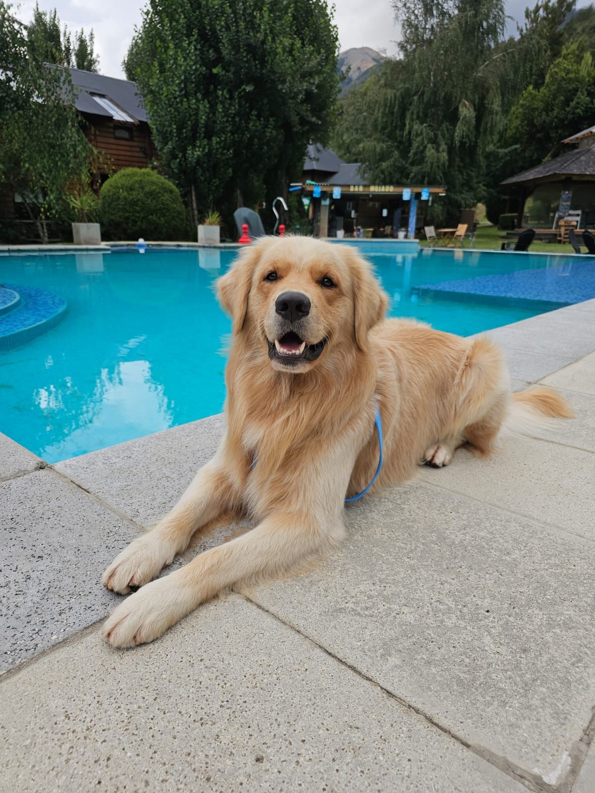Petfriendly en Villa la Angostura
