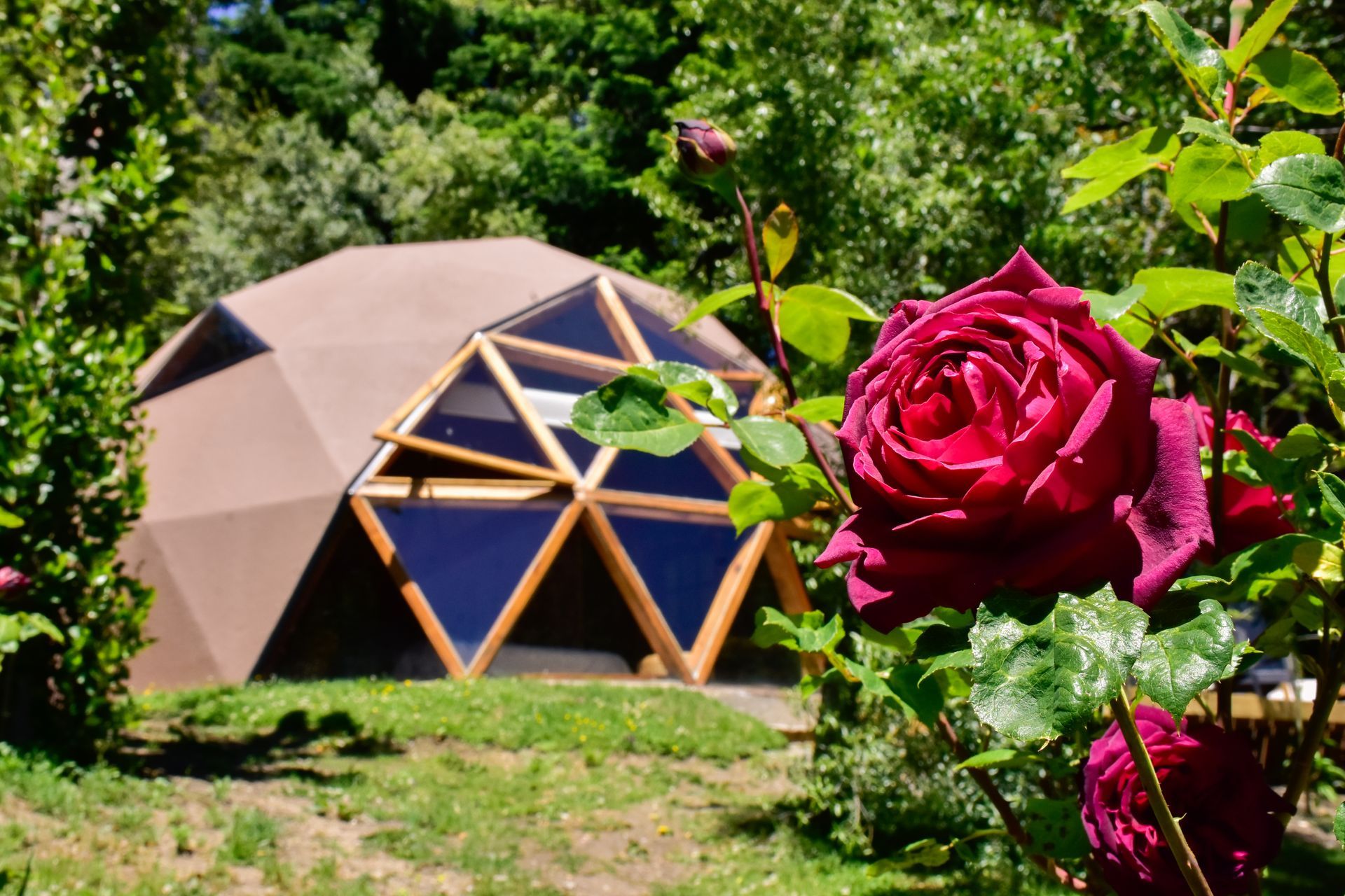 Glamping en Villa la Angostura