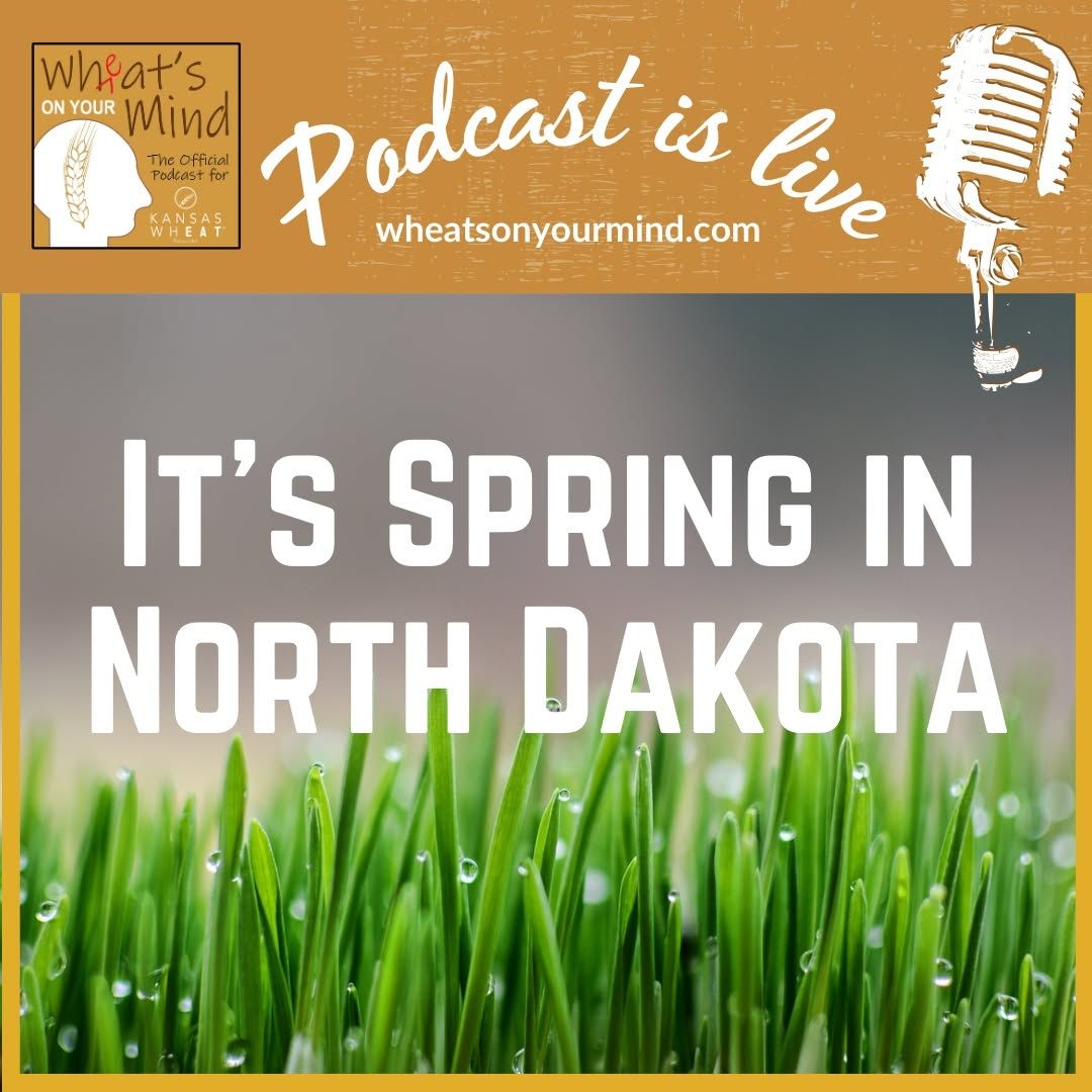 IT’S SPRING IN NORTH DAKOTA