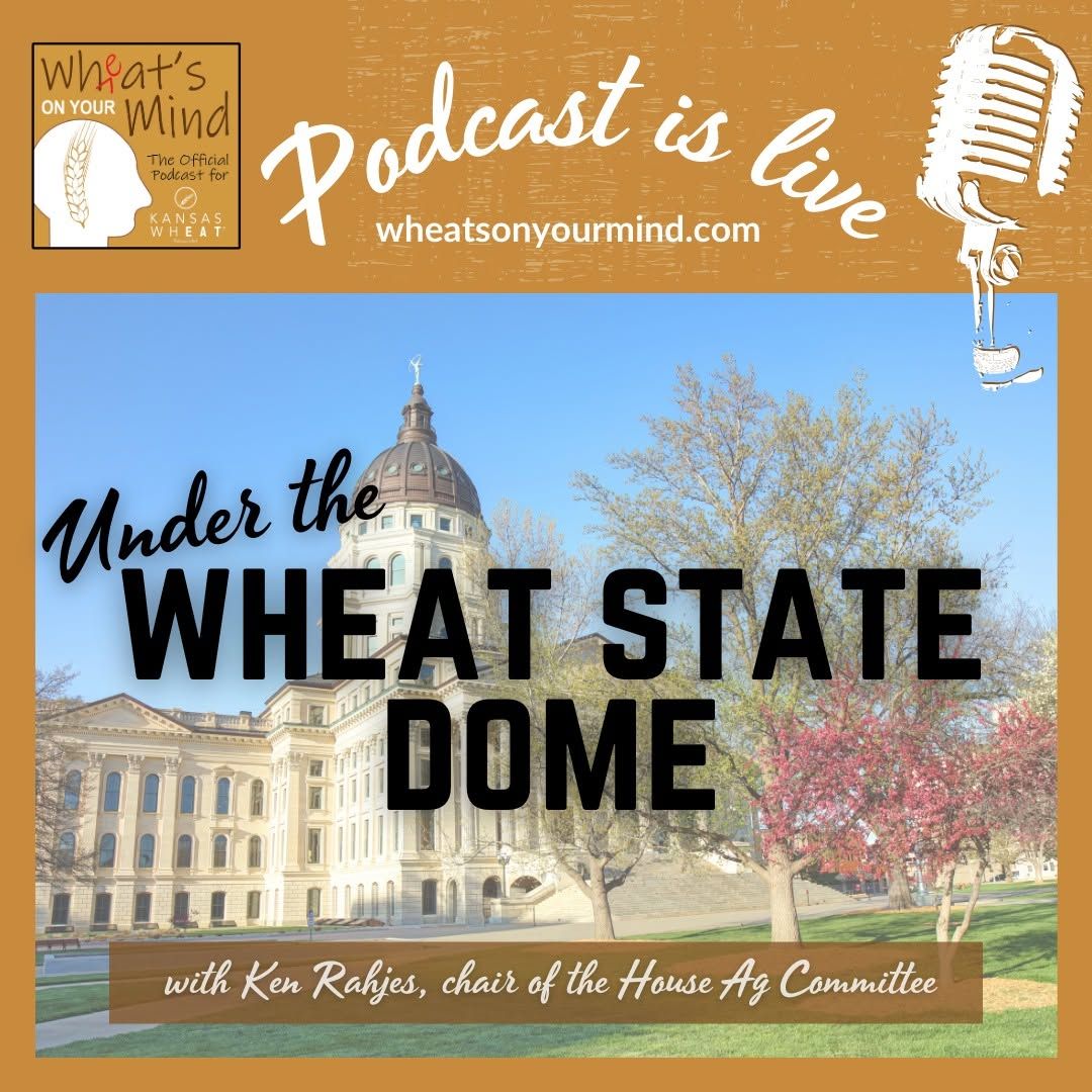 UNDER THE WHEAT STATE DOME