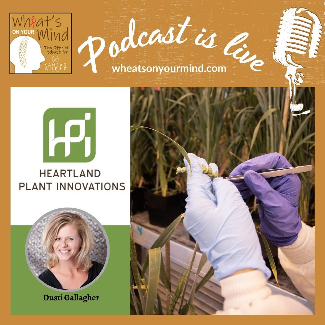 HEARTLAND PLANT INNOVATIONS, DUSTI GALLAGHER
