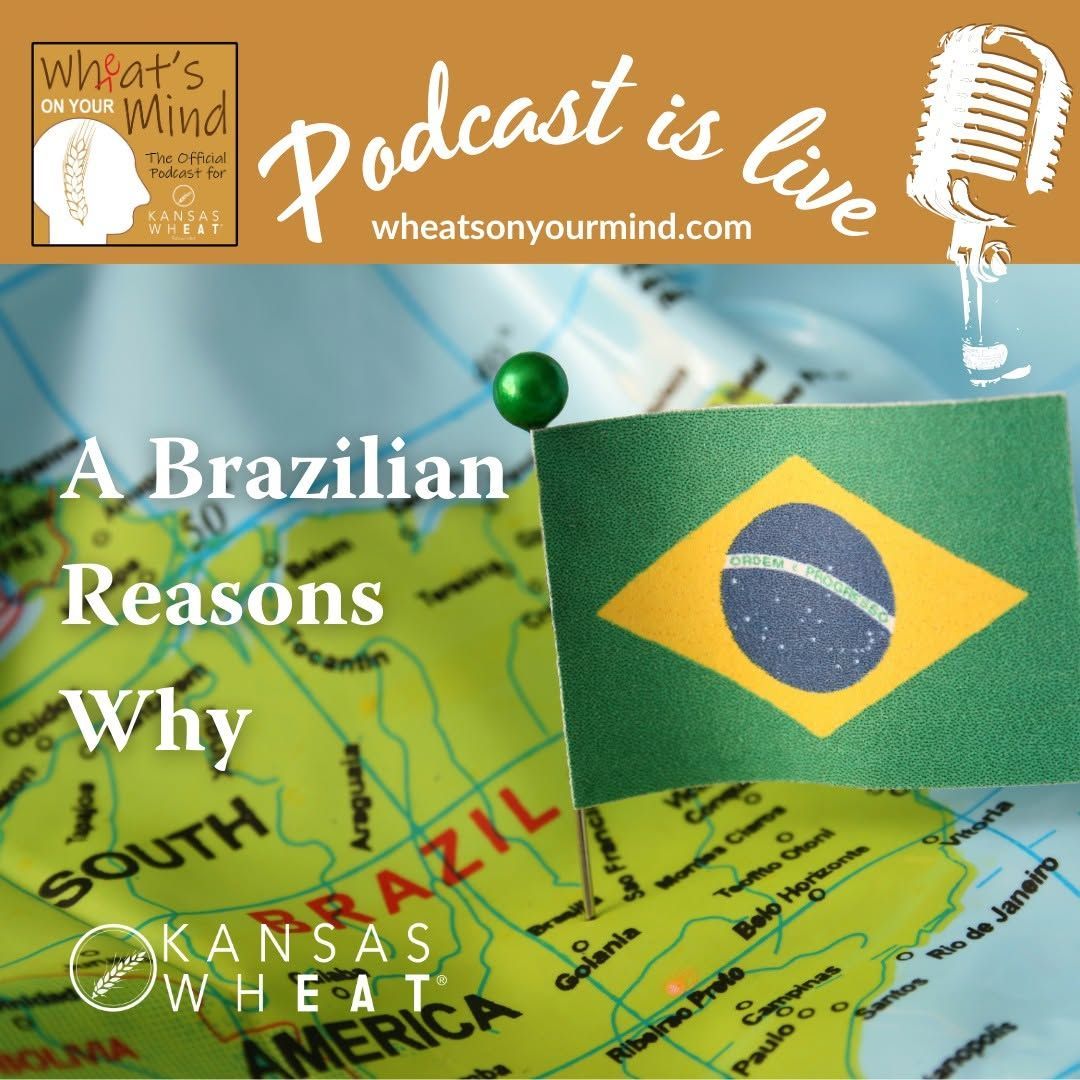 A BRAZILIAN REASONS WHY