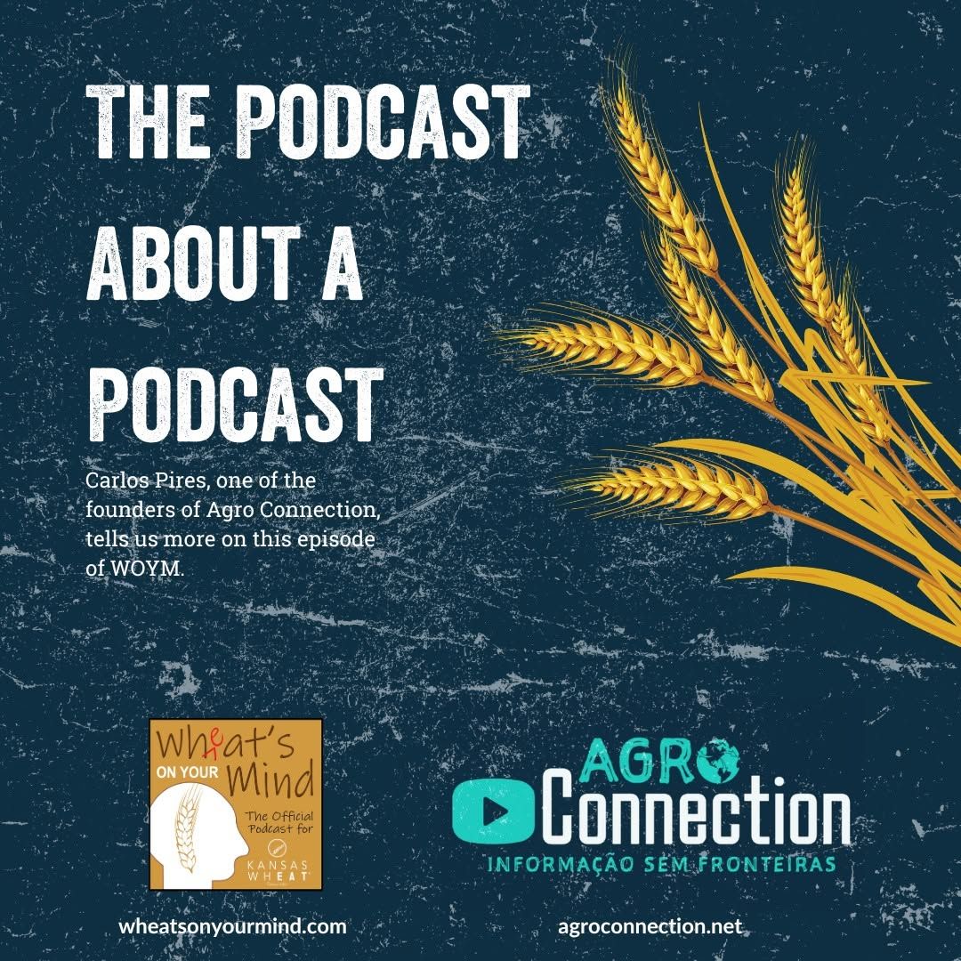 THE PODCAST ABOUT A PODCAST, AGRO CONNECTION