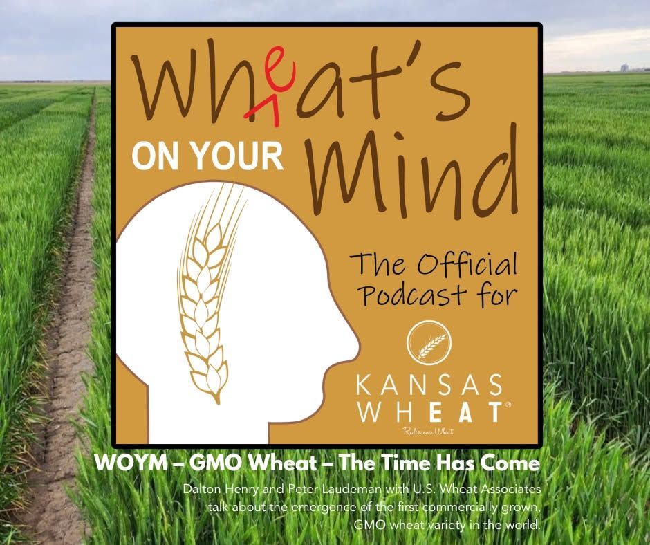 GMO WHEAT – THE TIME HAS COME