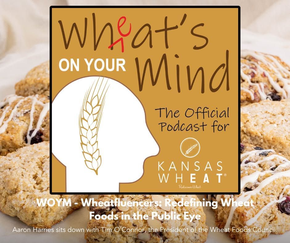 WHEATFLUENCERS: REDEFINING WHEAT FOODS IN THE PUBLIC EYE